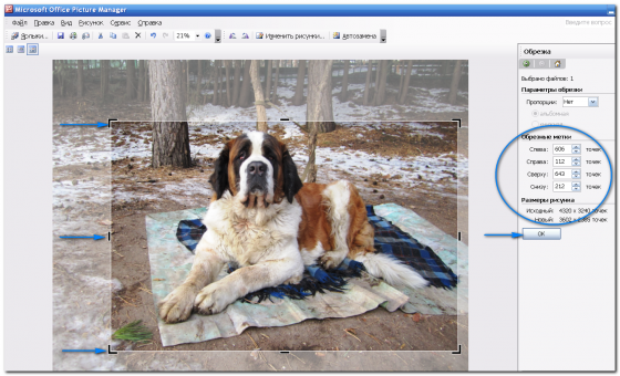 Программа_MicroSoft_Office_Picture_Manager_programma_MicroSoft_Office_Picture_Manager