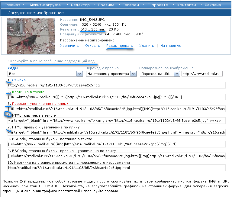 Фотохостинг Radikal
