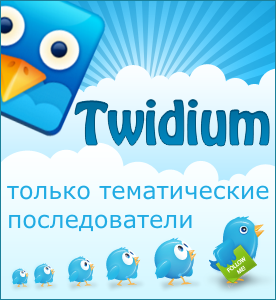 Twidium_nastroiki